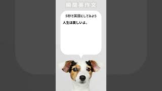 【瞬間英作文】人生は美しいよ。