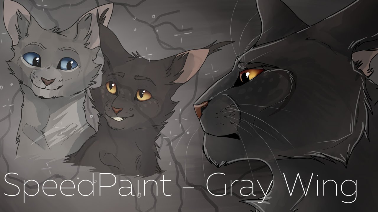 Warriors Speedpaint Gray Wing Youtube