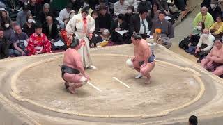 豊昇龍vs妙義龍 三回戦【大相撲トーナメント2024】2024/2/11