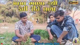 મામા ભાણા મેથી કેવી રીતે લાયા \\\\Gujarati comedy // | ગુજરાતી કોમેડી વિડિયો |(SB Hindustani)