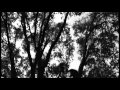 Hair by Lady Gaga (Music Video)