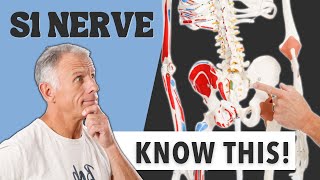 Examination Of S1 Nerve Root - Everything You Need To Know. Bob and Brad