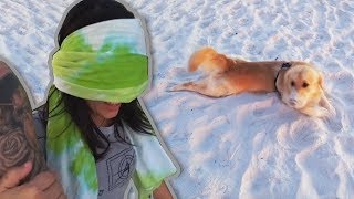 LEVEI MEU CACHORRO E MINHA NAMORADA NA PRAIA!