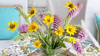 Liatris pycnostachya | Prairie Blazing Star | Kansas Gayfeather