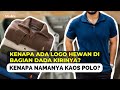 Bagaimana sih sejarah terciptanya kaos polo?