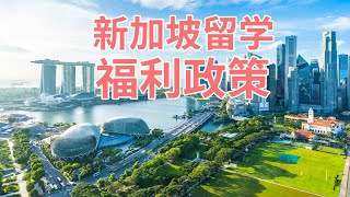 新加坡留学这些福利政策你一定要知道