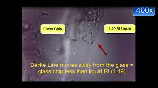 Glass - Becke Line and Refractive Index (4 07)