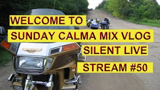 SILENT LIVE STREAM 2025 # 50