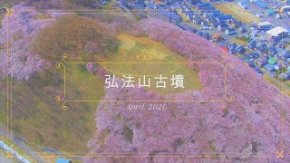 桜｜弘法山古墳｜空撮｜４K