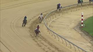 TIMONIUM 08 31 2024 RACE 4 PONY