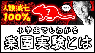 【禁断のマウス実験】食料∞・病気や天敵ゼロなのに滅亡…楽園実験「ユニバース25」とは何か？【科学・ざっくり解説】