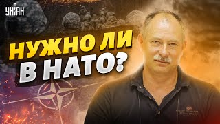 Жданов выдал неожиданное мнение о членстве Украины в НАТО