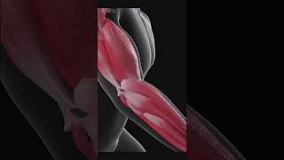 क्या आपको भी Tennis Elbow  है ? जानिए क्या करें\