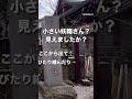 小さい 妖精 さん見えましたか？小野照崎神社の富士塚にて 神社 パワースポット 神社好き 2023 神社めぐり 神様 神社参拝 感謝 love tbt japan