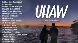 🎸 Dilaw - Uhaw 😍 - OPM Trend Songs - New OPM Love Songs 2023