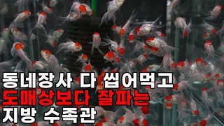 불경기에도 대박치는 지방 수족관ㄷㄷ