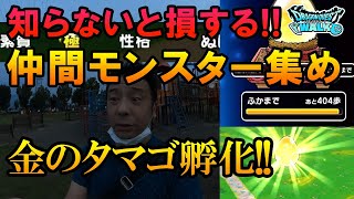 ドラクエウォーク248【なかまモンスターシステムがヤバい！知らないと損する知識！金タマゴを孵化させたらこんなモンスターが出た！！】