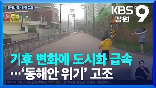 기후 변화에 도시화 급속…‘동해안 위기’ 고조 / KBS  2023.08.28.