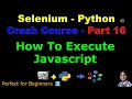 Learn Selenium with Python in 2025 | Part 16 - How To Execute Javascript | With Practical Example