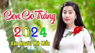 CON CÒ TRẮNG ✔️ Mở Nhẹ Nhàng Liên Khúc Rumba, Cực Hay,Ngủ Cực Say. Thúy Duy, Hoàng Diễn