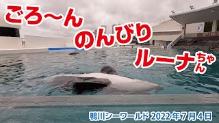 ごろ〜ん☆のんびり♡ルーナちゃん【2022年7月4日】Orcas at Kamogawa Sea World in Japan