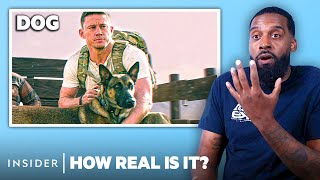 Military Dog Handler Rates 8 Military Dogs In Movies And TV | How Real Is It? |