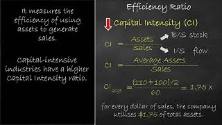 Efficiency Ratio - Capital Intensity