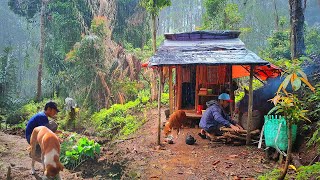 Hidup Di hutan Dan Berkebun - 2 Hari Hujan Deras Siang Malam - Di pondok Kedinginan - menanam ubi