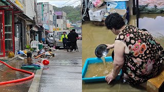 300㎜ 폭우에 곳곳 침수…강원 고성 복구 본격화 / 연합뉴스TV (YonhapnewsTV)