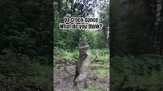 #subscribe #memes #animals #funny #catsruleeverythingaroundme #cat #crocodile