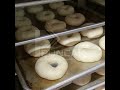 MESIN PENGEMBANG DOUGH | BREAD PROOFER MACHINE