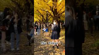 📍Thu Tokyo, Nhật Bản | Autumn in Tokyo, Japan | 秋の東京 | NamMaiTV