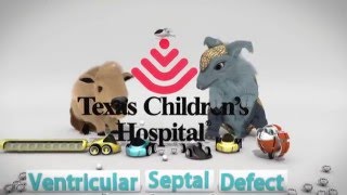 Ventricular Septal Defect/Surgical Closure: Texas Children's Heart Center Animation Series