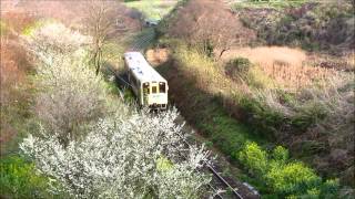 なのはな号2両編成　平成筑豊鉄道