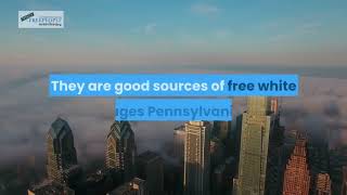Free White Pages Pennsylvania