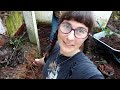 surprise kitchen floor hidden under a tonne of dirt on our portuguese homestead