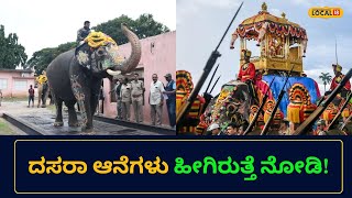 Mysore Dasara Elephants Weight Check | ಎಷ್ಟು ತೂಕ ಇರುತ್ತವೆ ಗೊತ್ತಾ ದಸರಾ ಆನೆಗಳು? |#local18