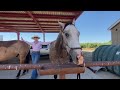 Ranch Vlog, Moving Cows, And Turning My Mom Into A Cowboy