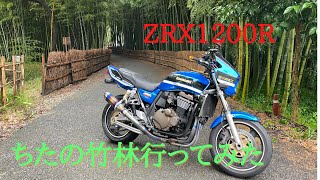 【ZRX】ちたの竹林に行ってきた【モトブログ】