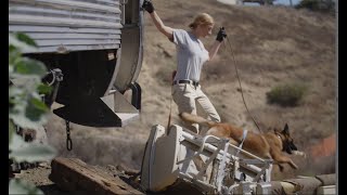 the national search dog foundation 1080p