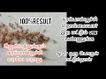 கரப்பான்பூச்சி தொல்லையிலிருந்து விடுபட ||ged rid of cockroach in tamil antiroach gel #cockroach