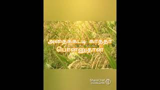 #🎶இசைஞானியின் இன்னிசை ♥️ #🎼🎙️SPB மெலோடிஸ்🎶 ❤இதயம் தொட்ட பாடல் வரிகள் 🎶💕