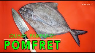 POMFRET FISH || Herb marinated grilled fish