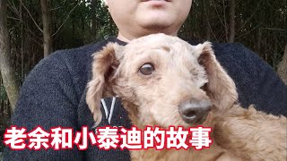 狗肉館救回的獨眼小泰迪|老余和流浪狗的故事，如果喜歡請留意言|悲犬世界