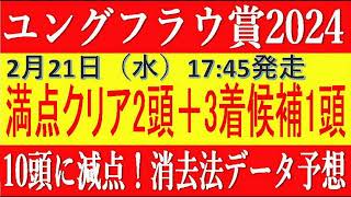 ユングフラウ賞2024（浦和競馬）⚠️10頭に減点！消去法データ予想