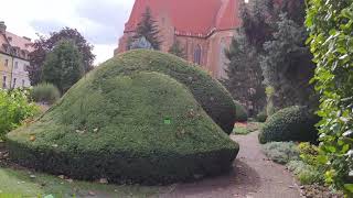 [ 4K ] Ogród Botaniczny Uniwersytetu Wrocławskiego