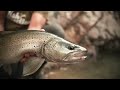 pêche de la truite en lacs de montagne avec damien toussaint guide de pêche dans les pyrénées.