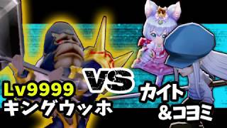 【白猫】Lv9999 キングウッホ VS カイト\u0026コヨミ【覚醒！キングウッホ！】決戦クエスト