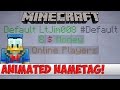 Minecraft Plugin Tutorial - Animated Nametag