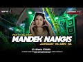 DJ MANDEK NANGIS PARTY KARNAVAL JANGAN YA DEK BASS BLAYER ZAINUL 99